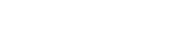 Bravis Intelligence